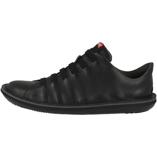 Camper beetle baskets - beetle, top
